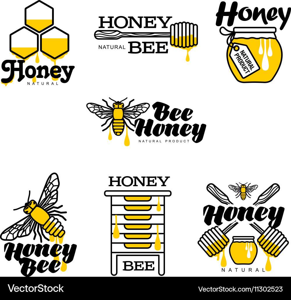 Hand-Drawn Honeybee & Hive Set Vector Image
