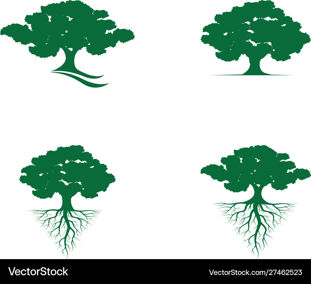 Oak Tree Leaf Logo Royalty Free Vector Image - VectorStock