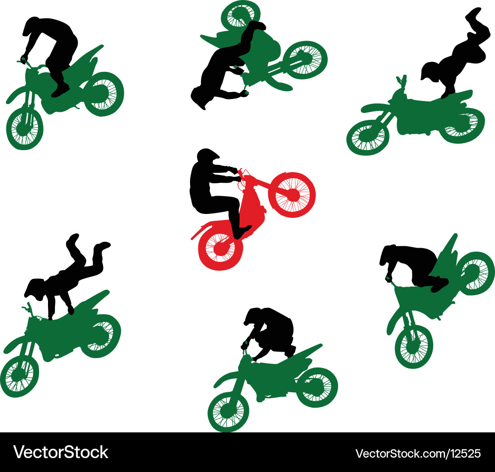 Motorcycle Stunt Show vector image