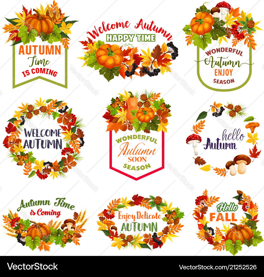 Autumn time icons of fall leaf pumpkin Autumn time icons of fall leaf pumpkin vector image
