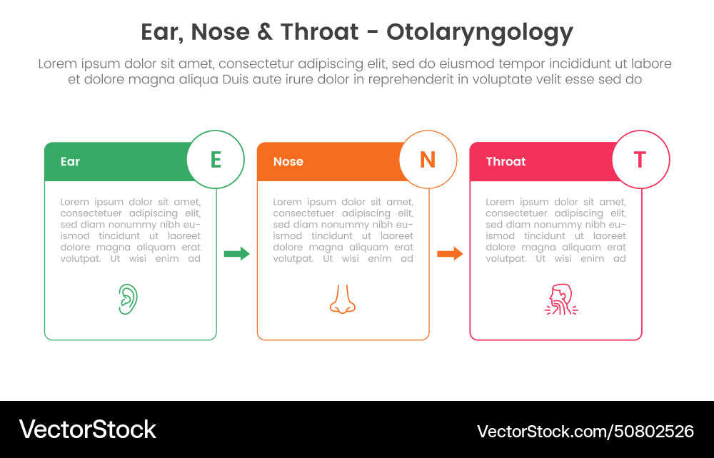 Ent health treatment disease infographic 3 point Ent health treatment disease infographic 3 point vector image
