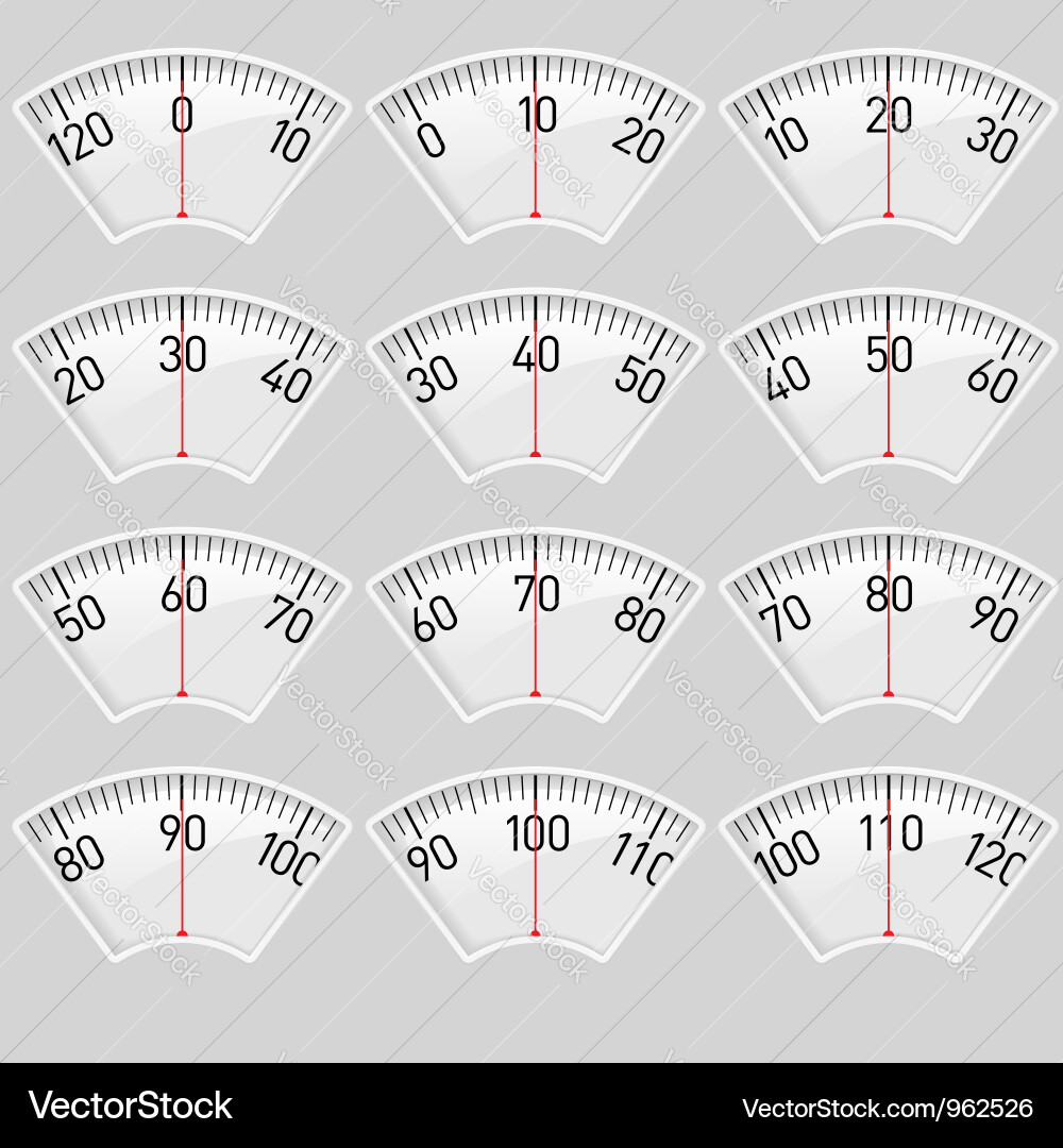 Scale Instruments Measurement vector image