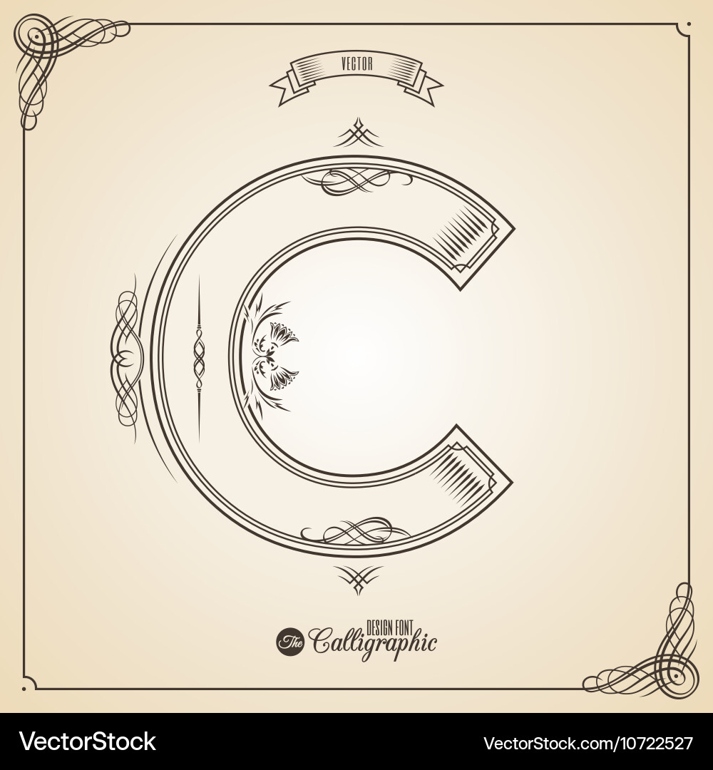 Calligraphic fotn with border frame elements vector image