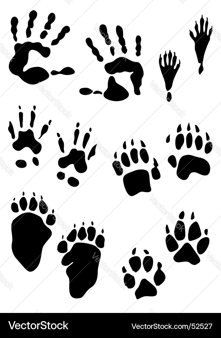 Footprints & Handprints Vector Image