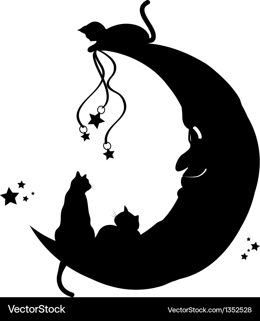 Cats Playing on the Moon Vector Image