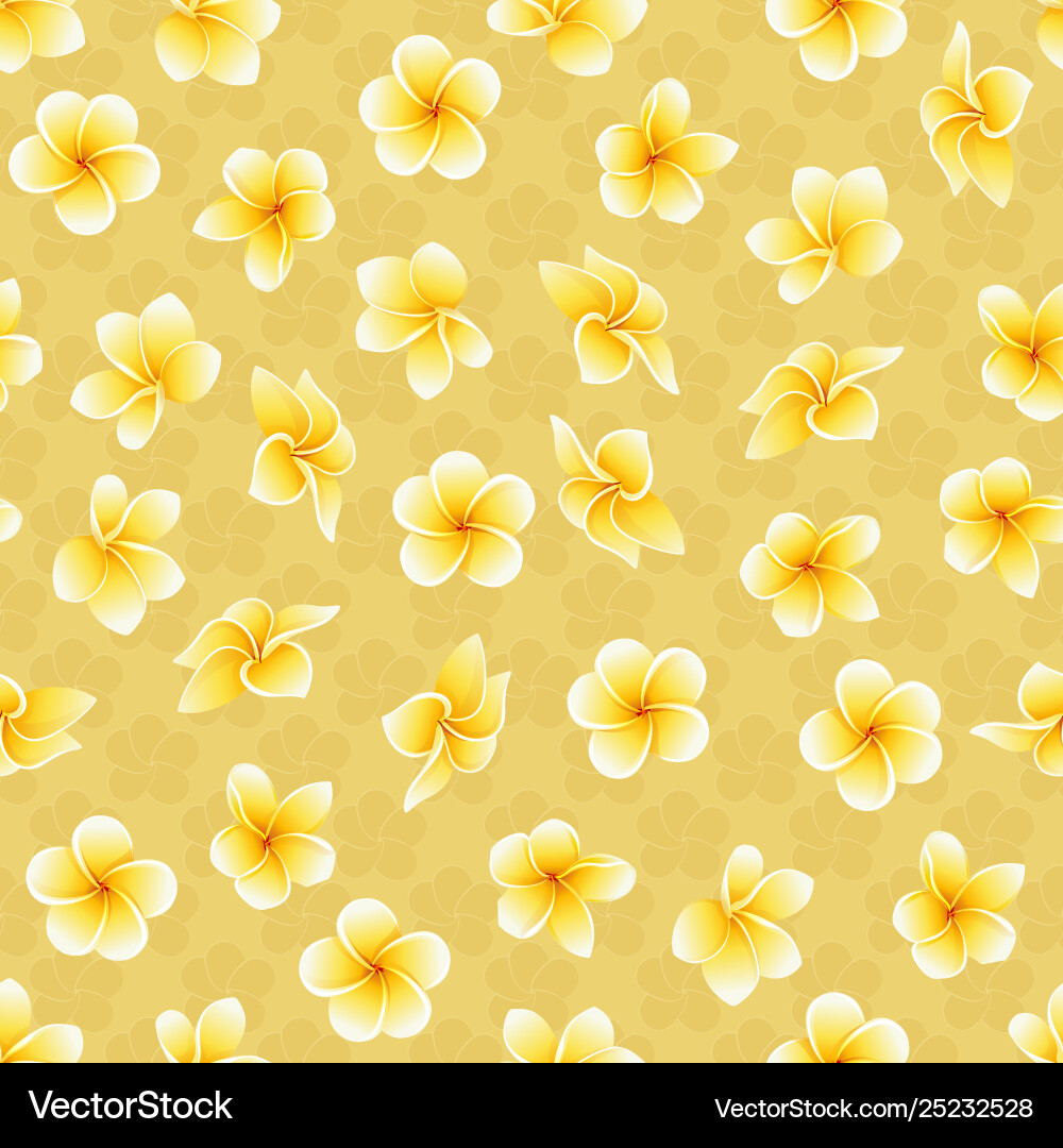 Nahtlose Sommer Muster Frangipani Sanitär Nahtlose Sommer Muster Frangipani Sanitär vektorbild