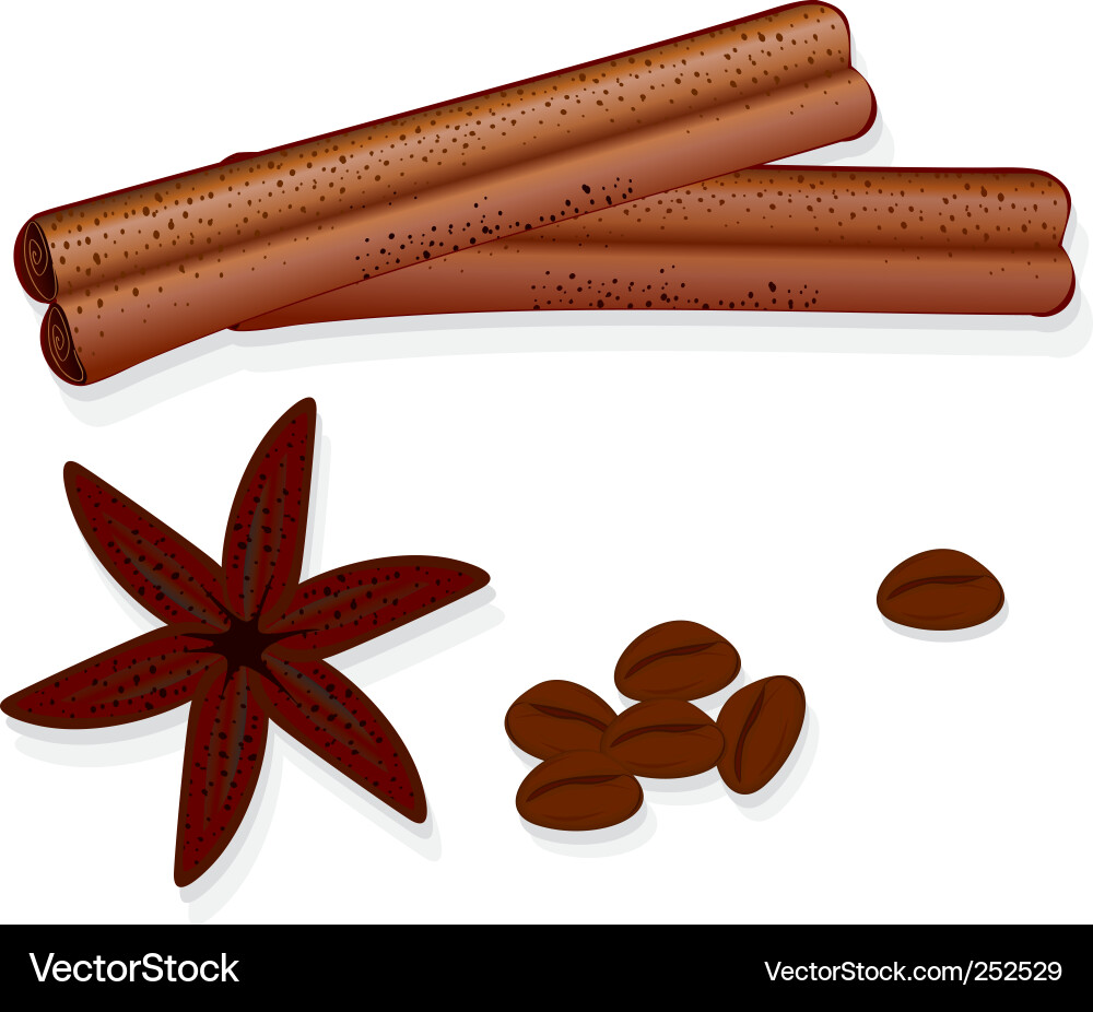 Cinnamon Sticks - Close-Up Royalty Free Vector Image