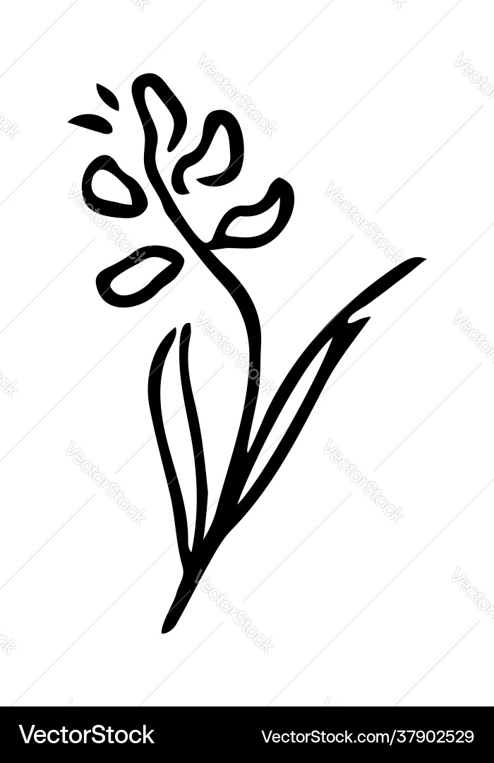 Isolated element with flower Vector Image