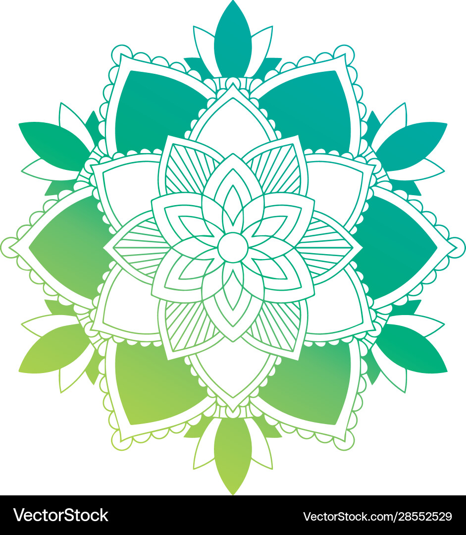 Mandala patterns on isolated background Vector Image