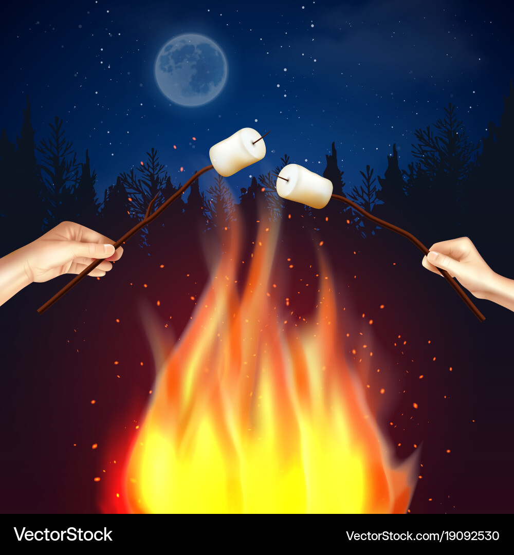 Camp fire marshmallow composition Royalty Free Vector Image