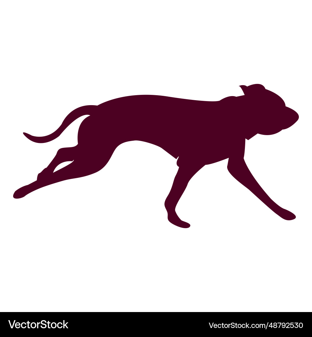 Dog running sequence 2 vector image
