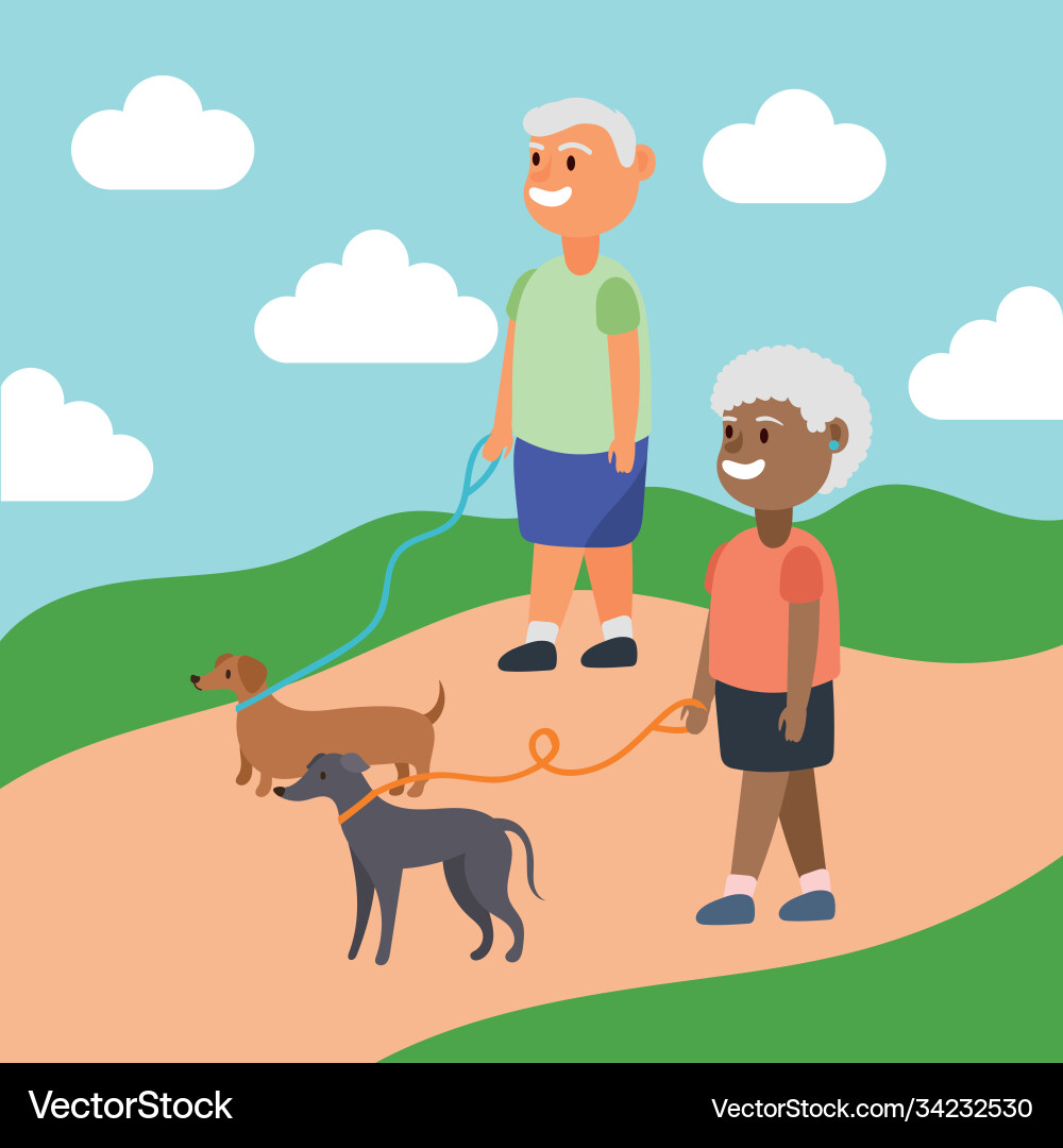 Interracial old couple walking with dogs active Interracial old couple walking with dogs active vector image