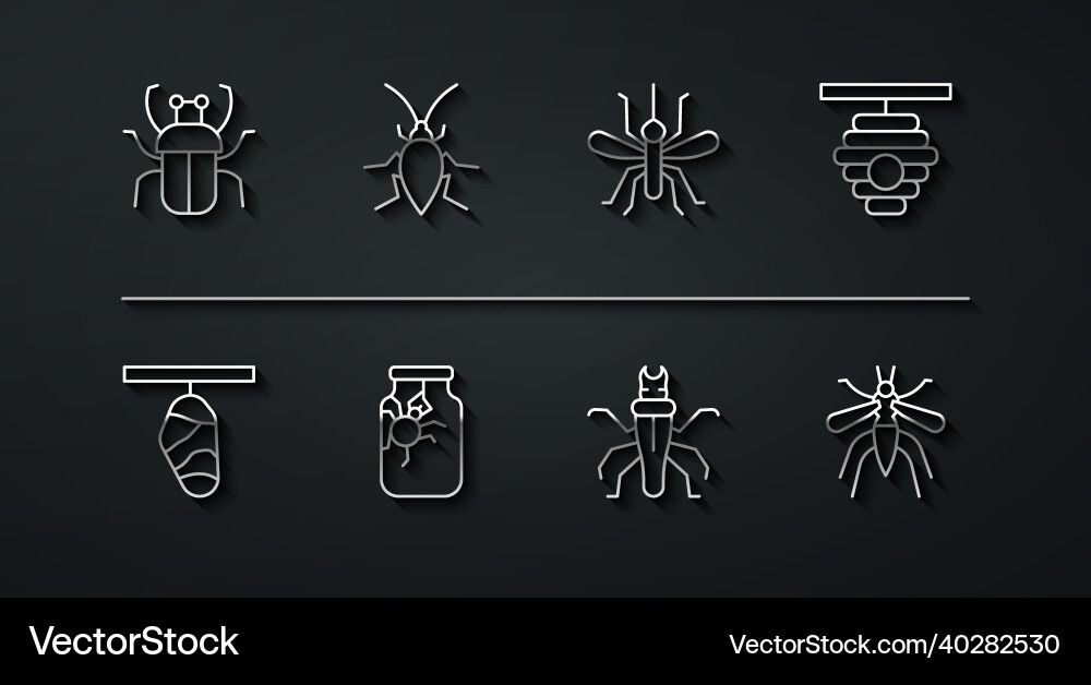 Set line stink bug butterfly cocoon hive Set line stink bug butterfly cocoon hive vector image