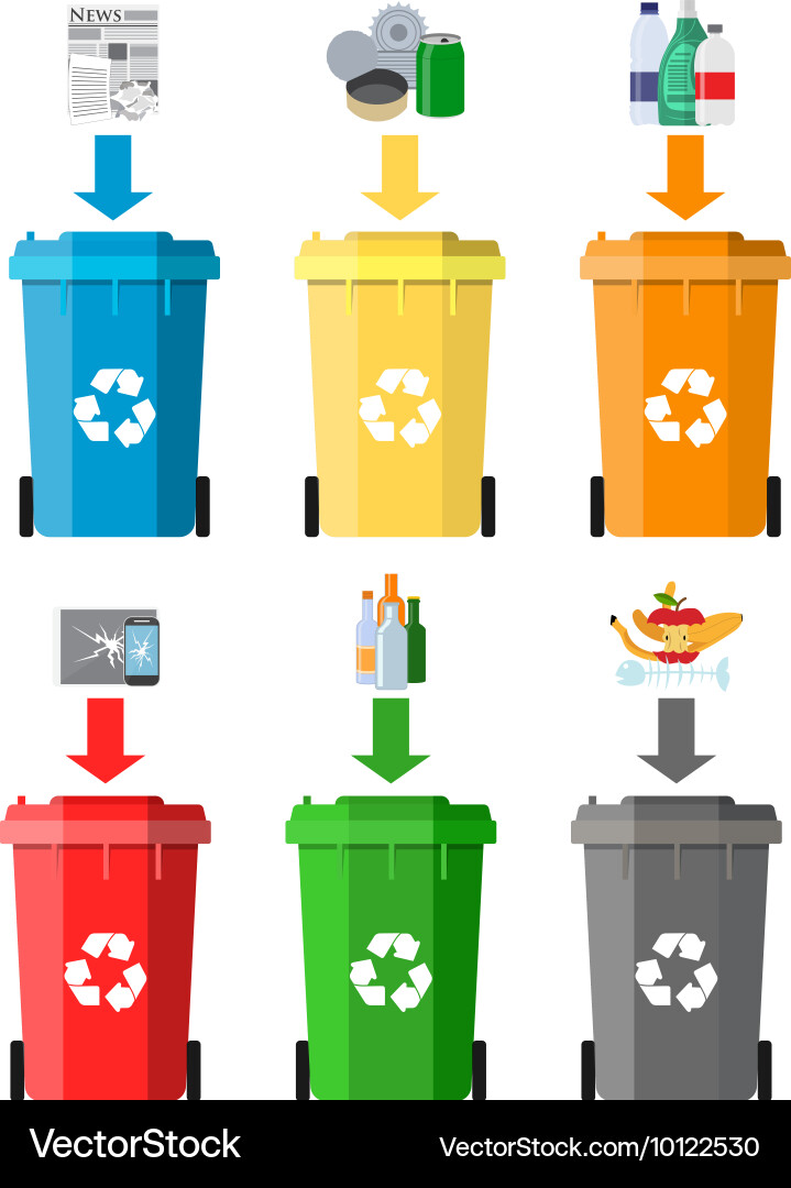 Waste Sorting & Recycling Vector Image