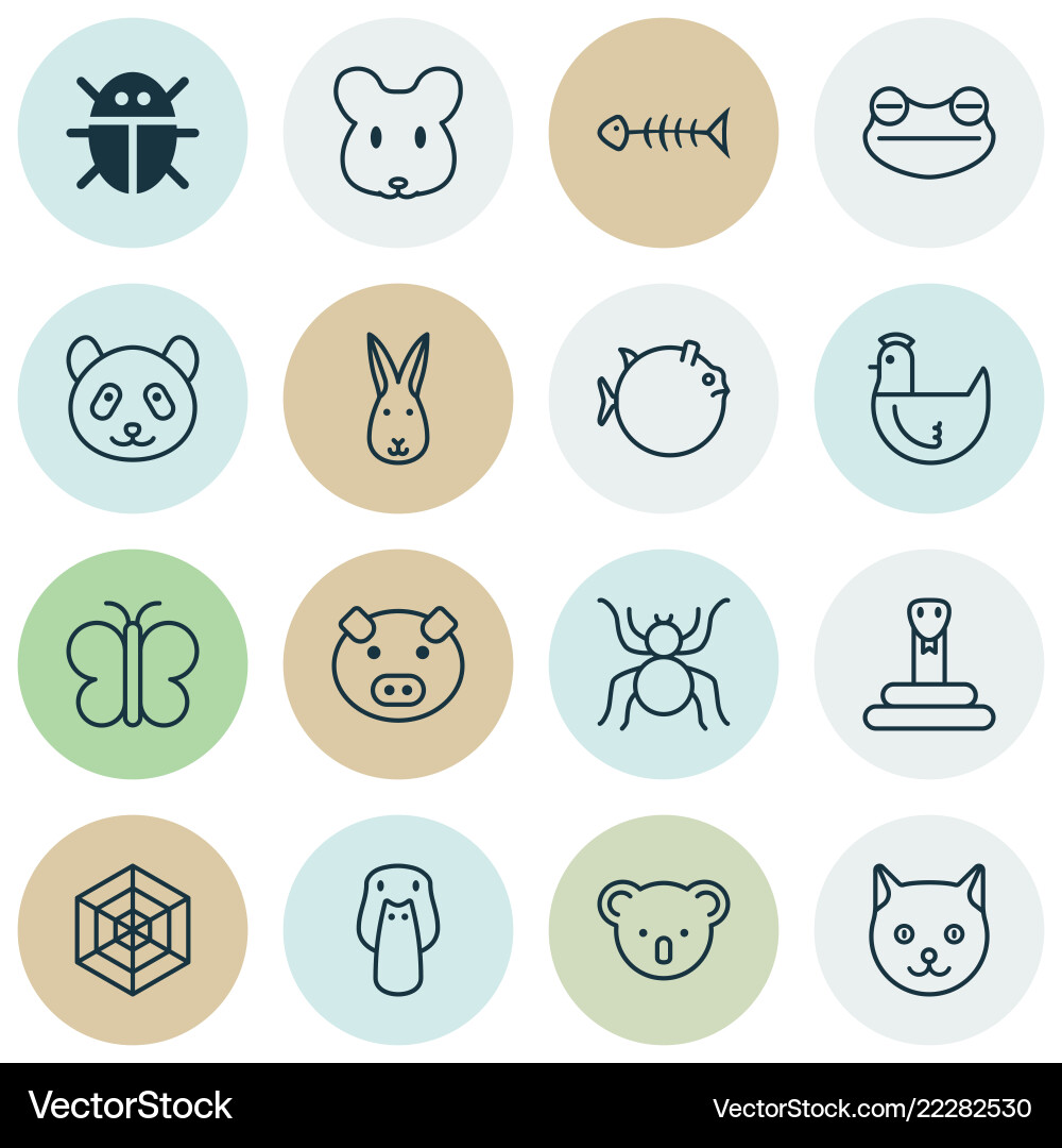 Zoo icons set with bug arachnid frog and other Zoo icons set with bug arachnid frog and other vector image