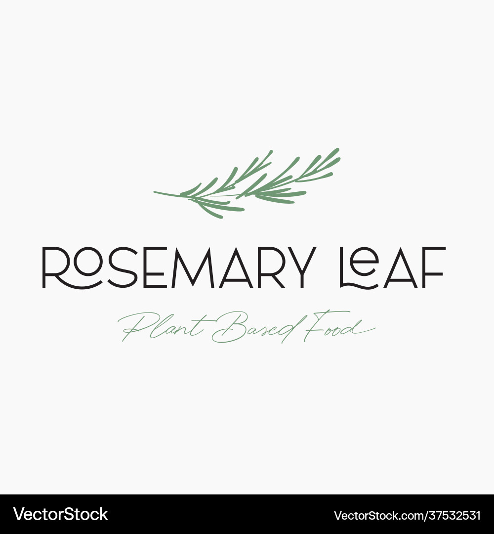 Rosemary leaf simple hand drawn logo design Rosemary leaf simple hand drawn logo design vector image