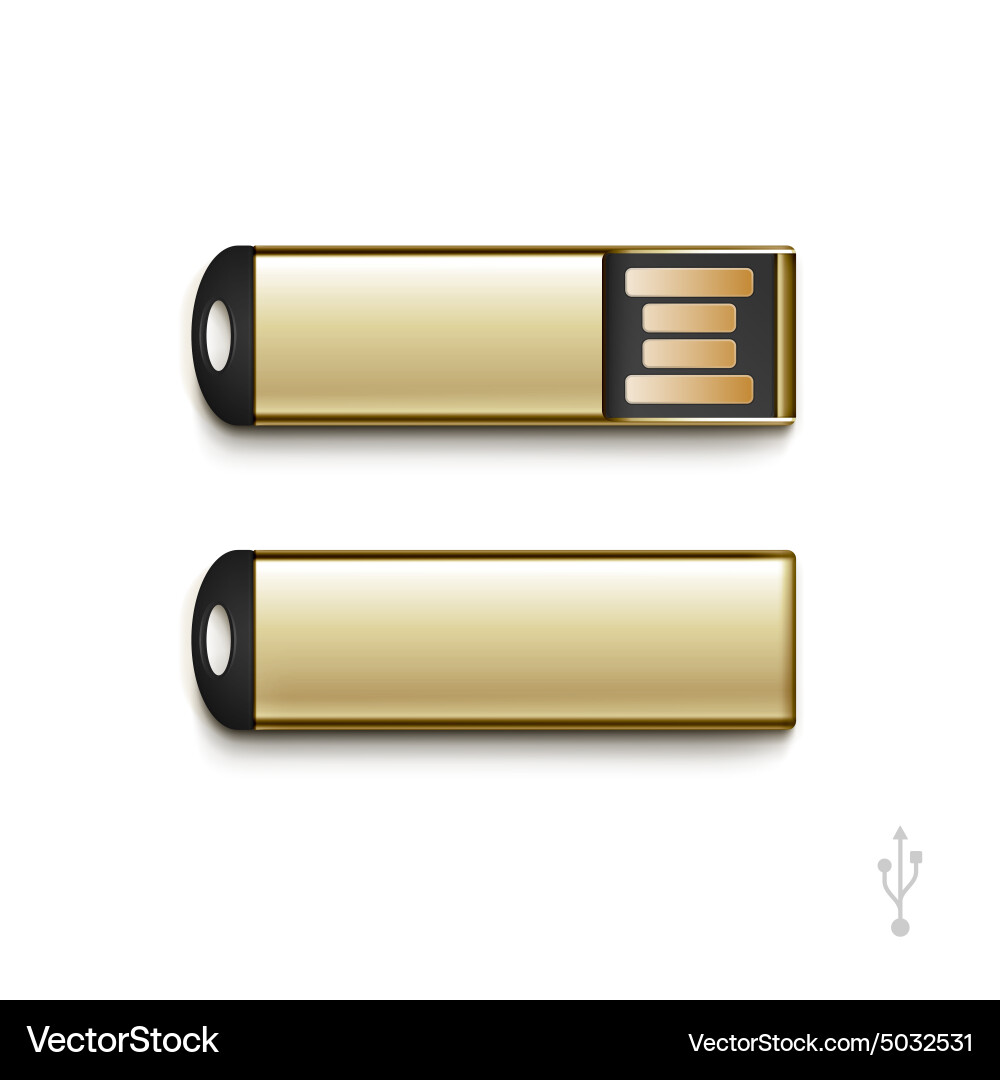 Usb flash drive stick memory set isolated vector image
