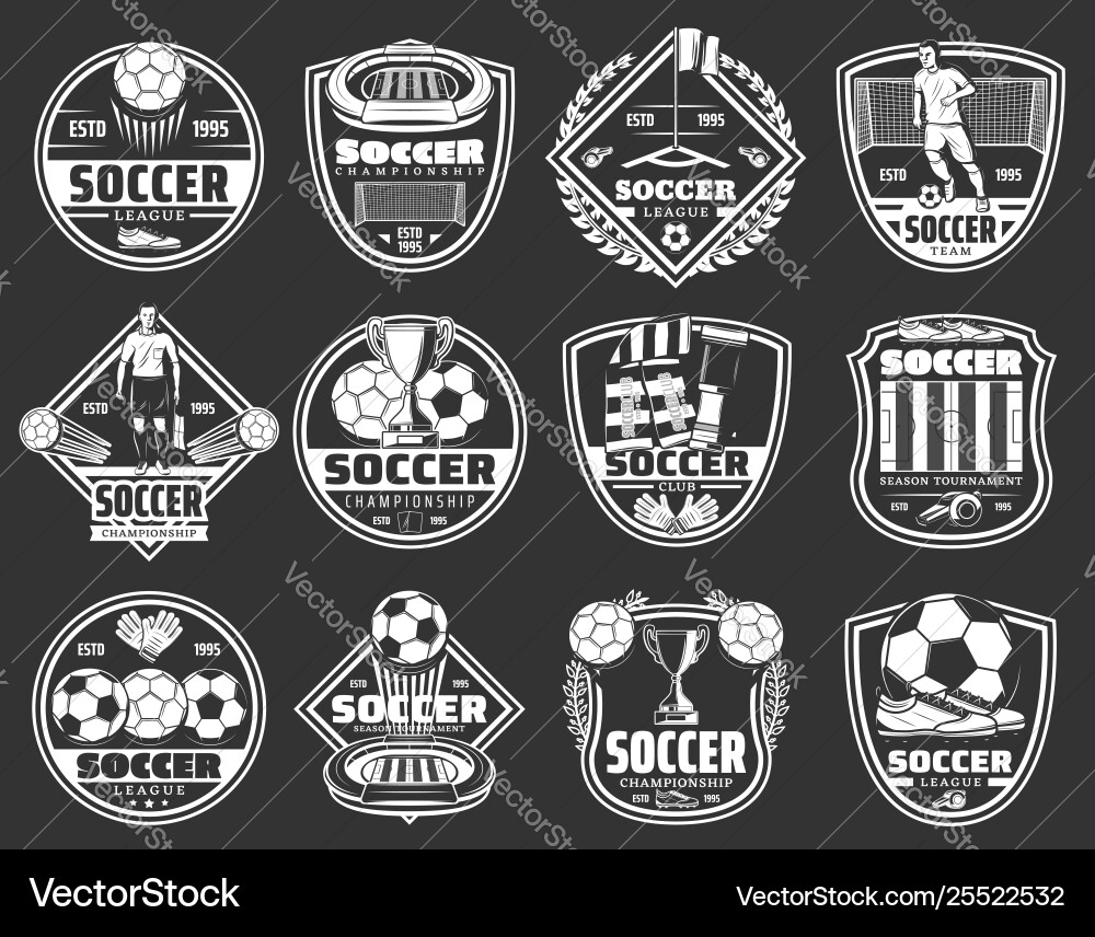 Soccer League & Team Icons Vector Image