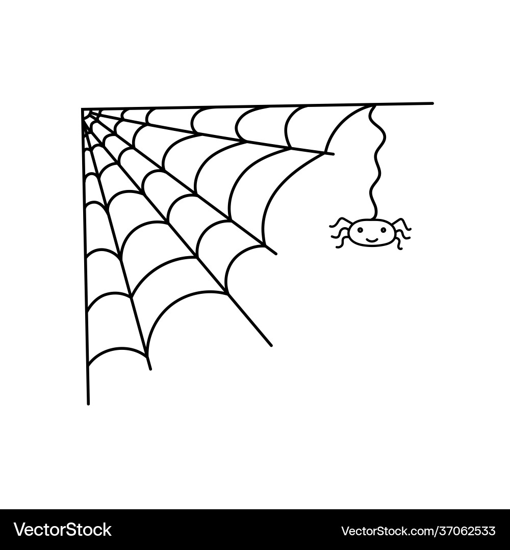 Spider web simple outline Spider web simple outline vector image