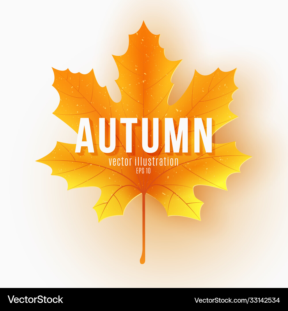 Herbst Ahornblatt mit Text auf weißem Hintergrund Herbst Ahornblatt mit Text auf weißem Hintergrund vektorbild
