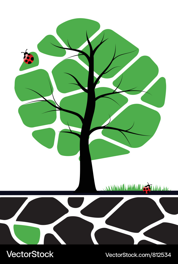 Tree with green leafs vector image