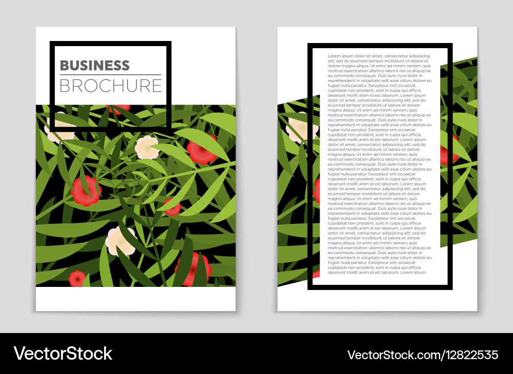 Abstract layout background set for art Vector Image