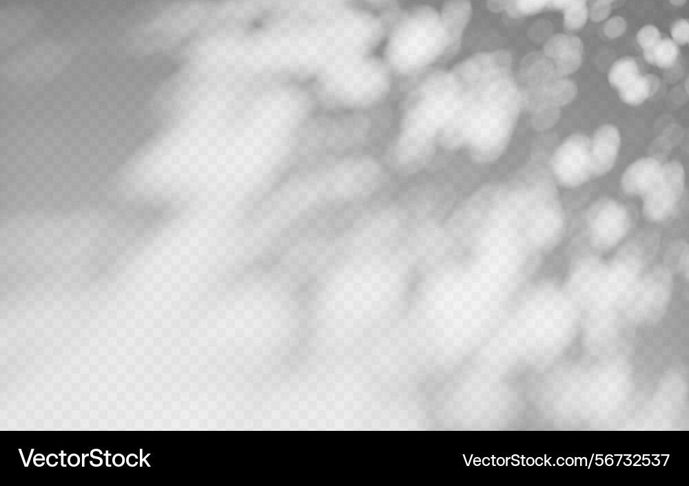 Abstract shadow overlay from tree branch Abstract shadow overlay from tree branch vector image