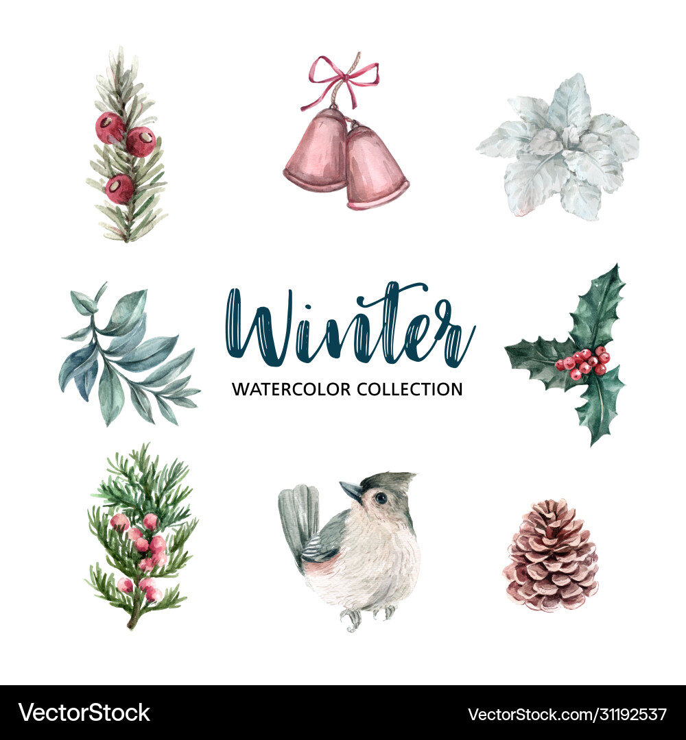 Winter Watercolor Floral Elements Royalty Free Vector Image