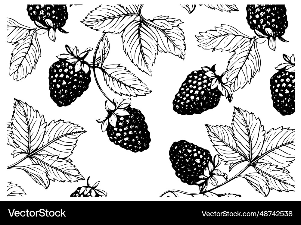 Blackberry or raspberry seamless pattern Blackberry or raspberry seamless pattern Vector Image