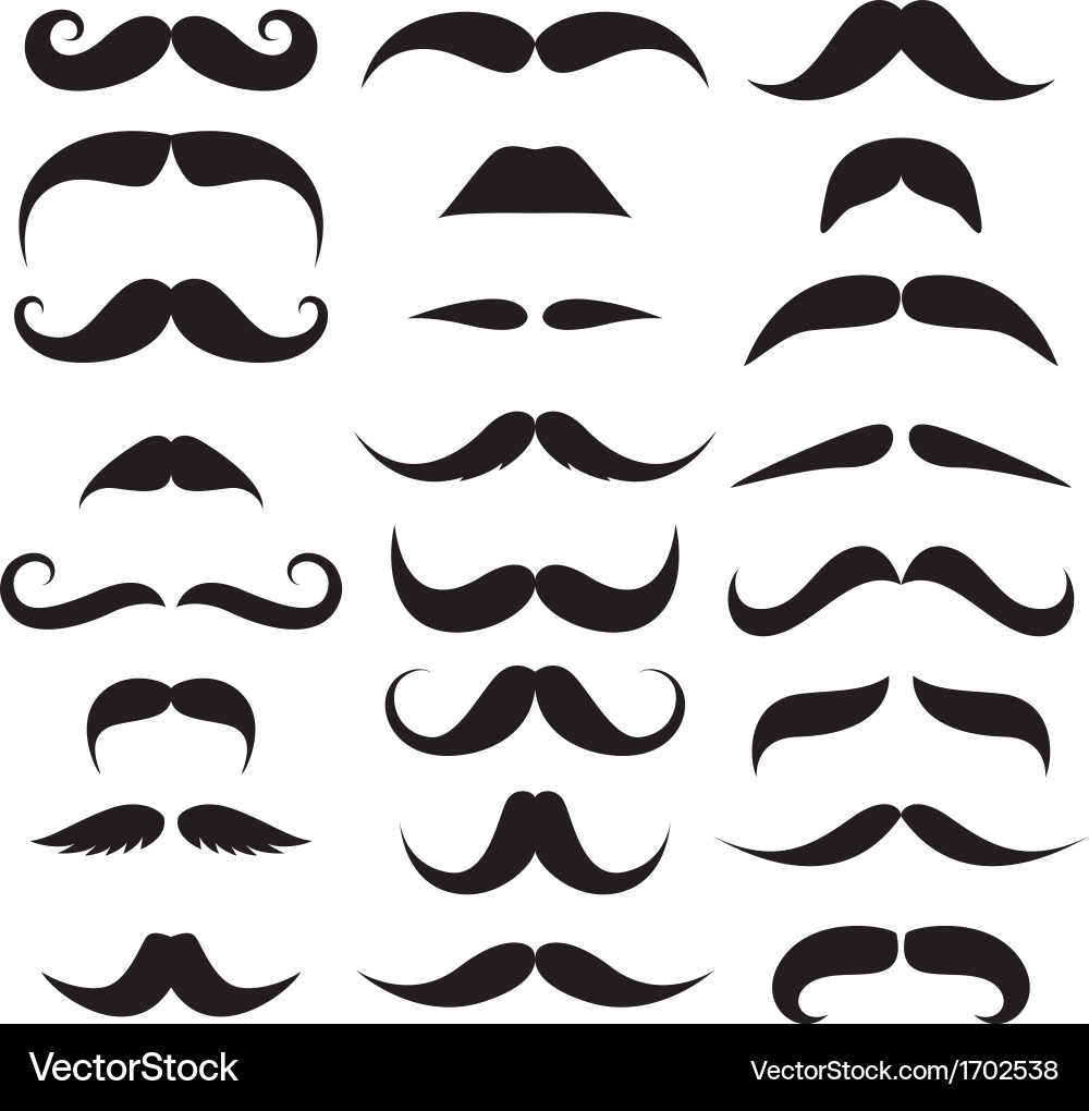 Diverse Mustache Collection Vector Image