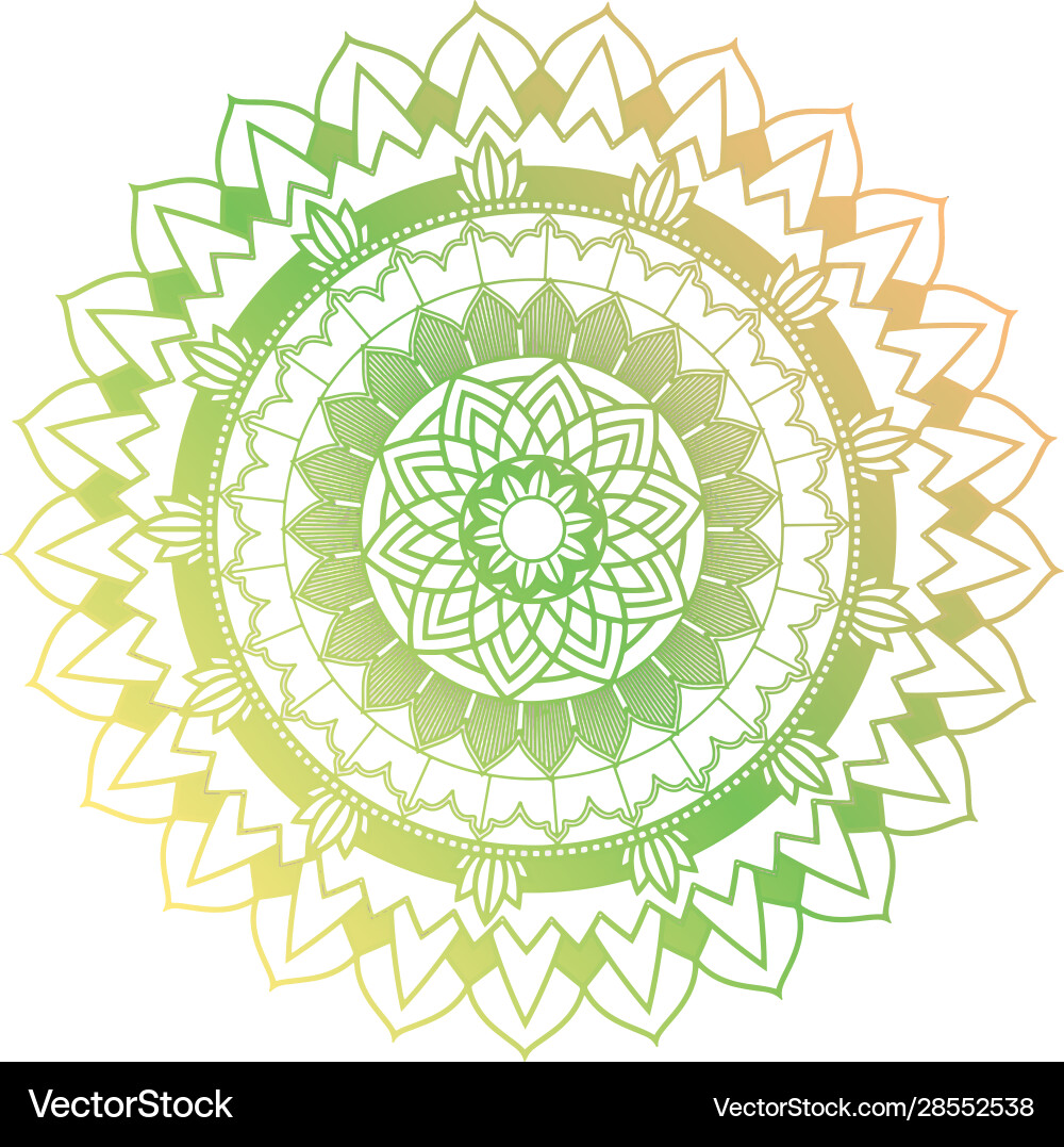 Mandala patterns on isolated background Vector Image