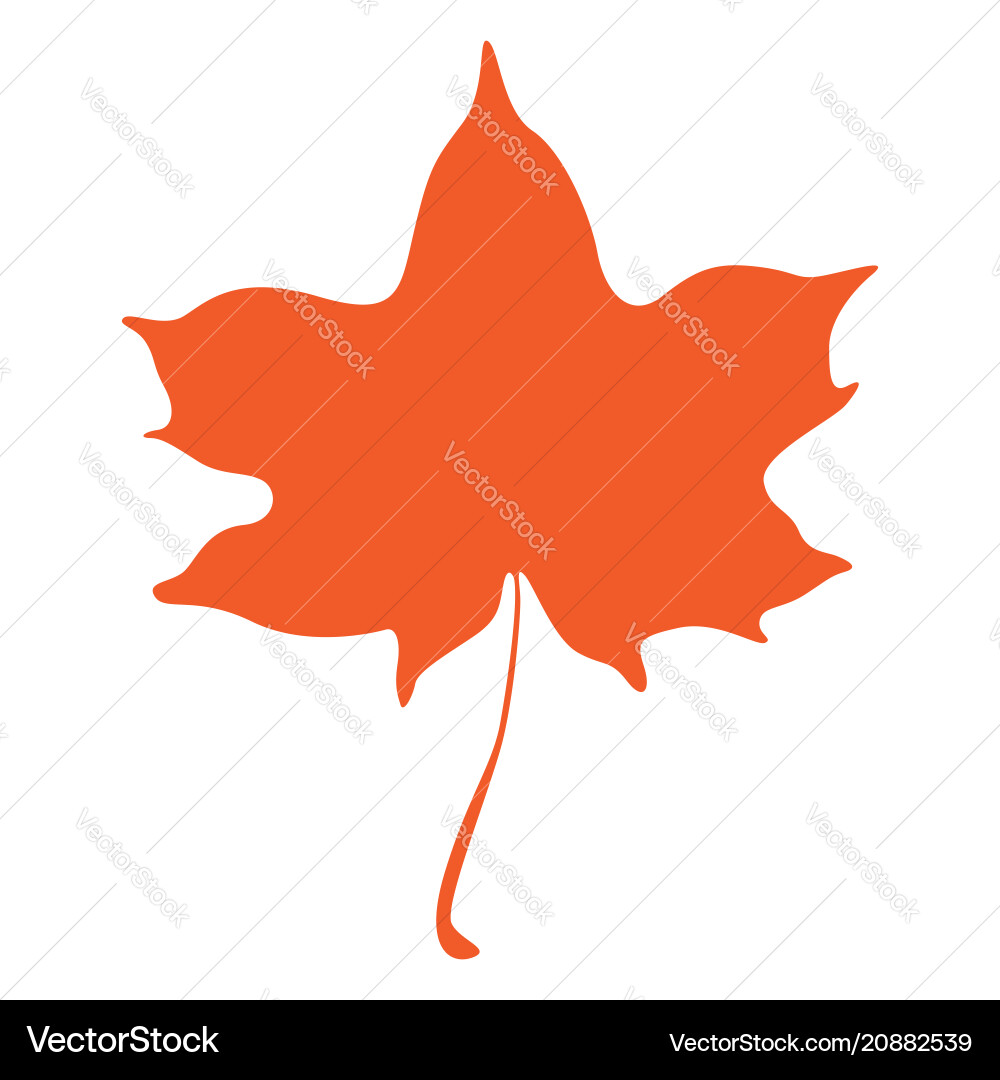 Orange maple leaf isolated on white background Orange maple leaf isolated on white background vector image