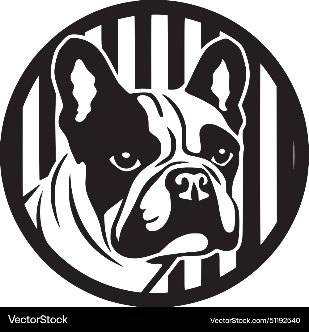 Französischer Bulldogge - hochwertiges Logo ideal Französischer Bulldogge - hochwertiges Logo ideal vektorbild