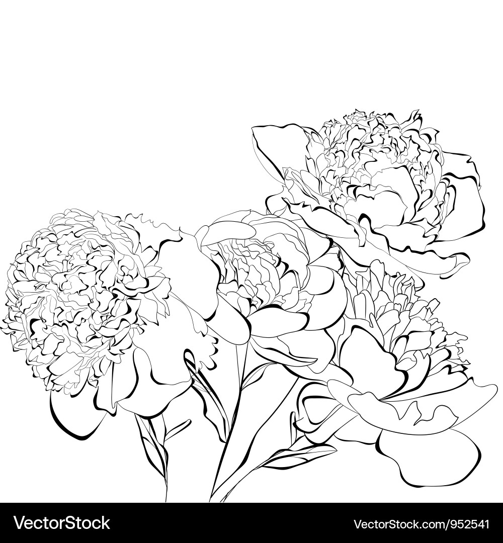 Elegant Peony Floral Card Template Vector Image