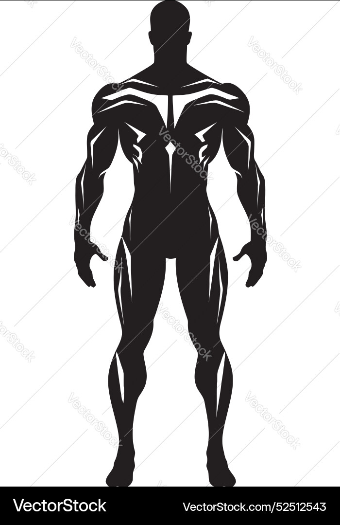 Obsidian oracle seer of the veiled future phantom vector image