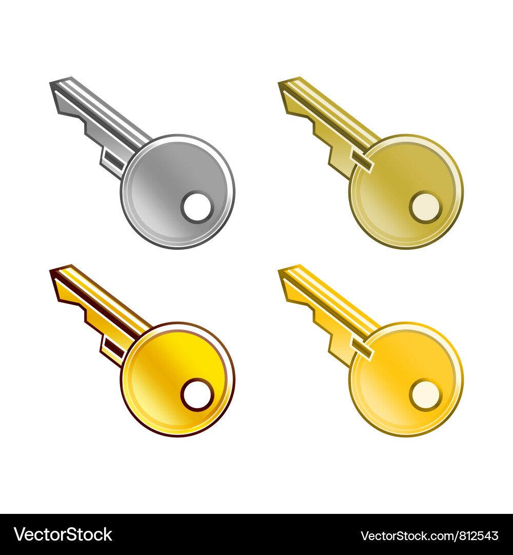 Set of keys Vector Image
