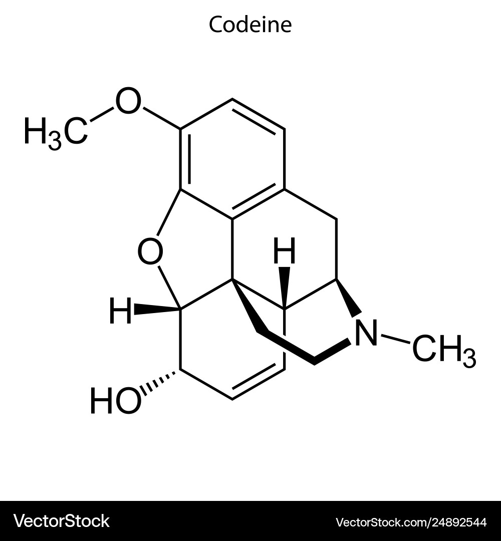 Codeine Skeletal Formula Chemical Structure Vector Image