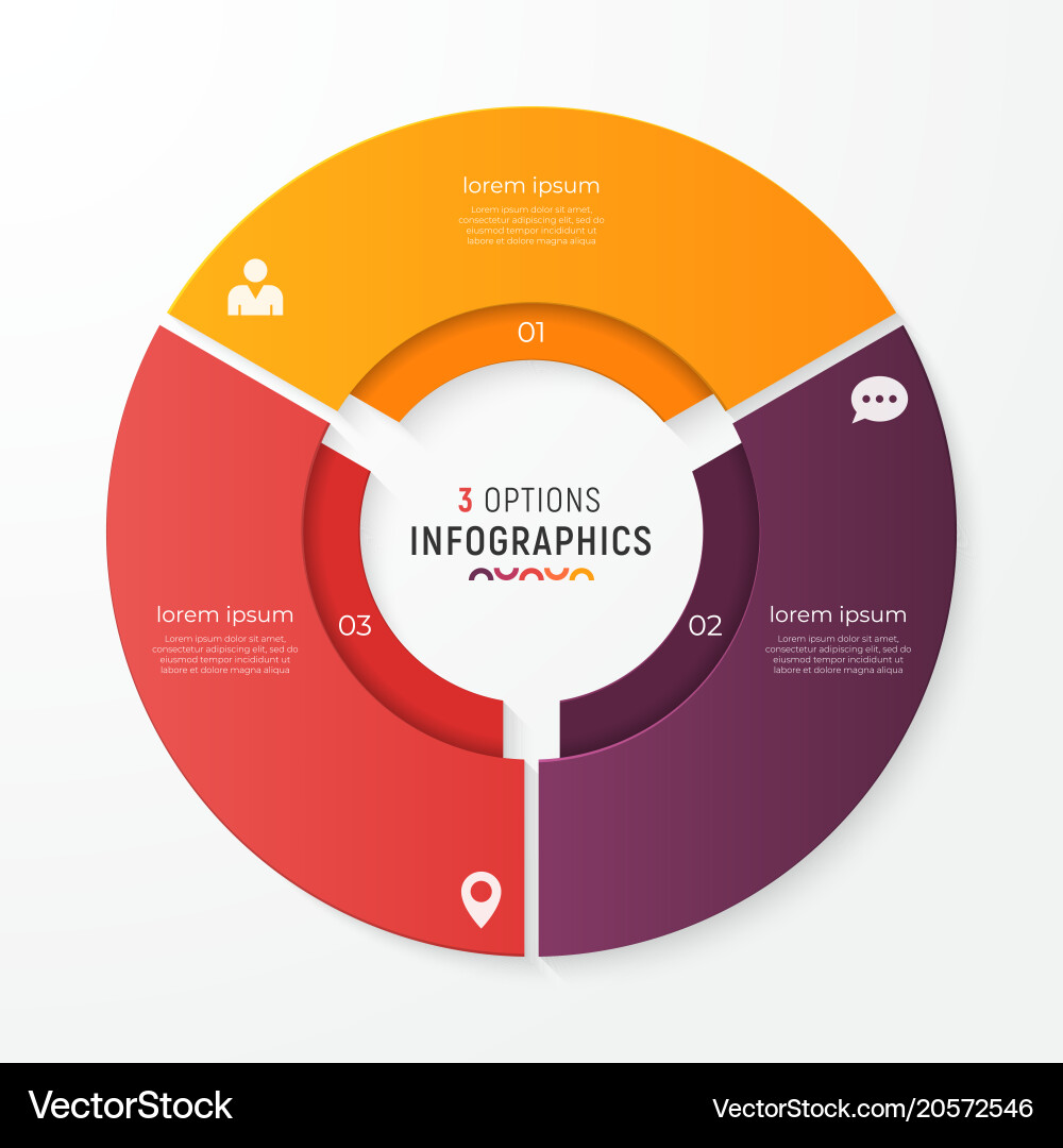 Circular Chart with Three Options vector image
