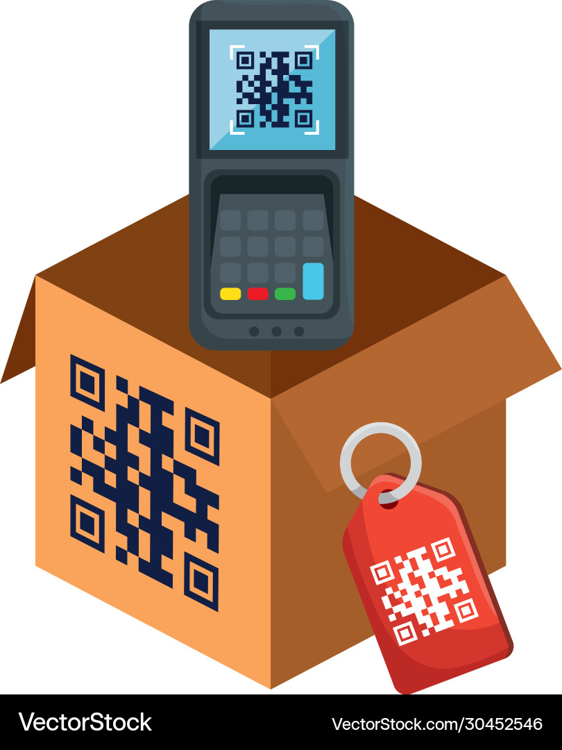 QR Code Scan in Smartphone Box vector image