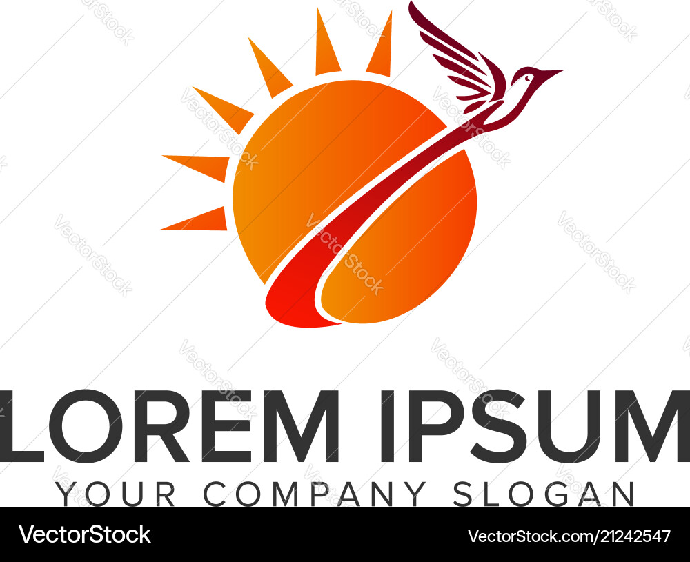 Bird Flying on Sun Logo Concept Vector Image