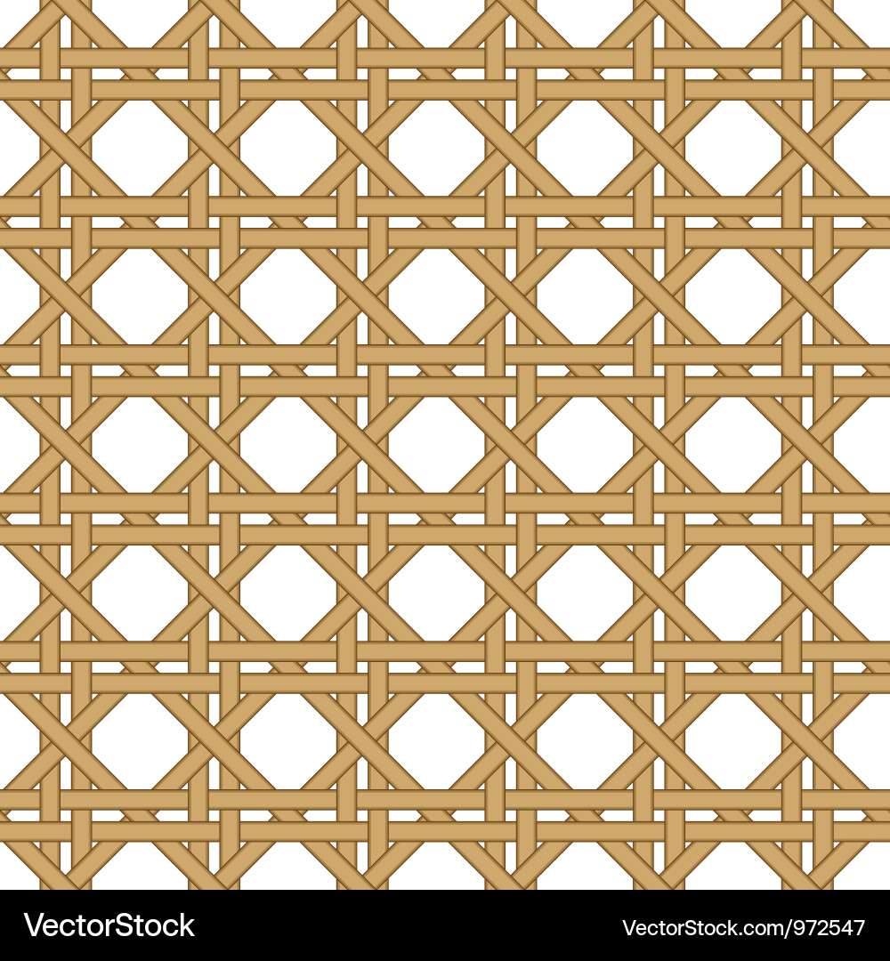 Wicker Texture Background Vector Image