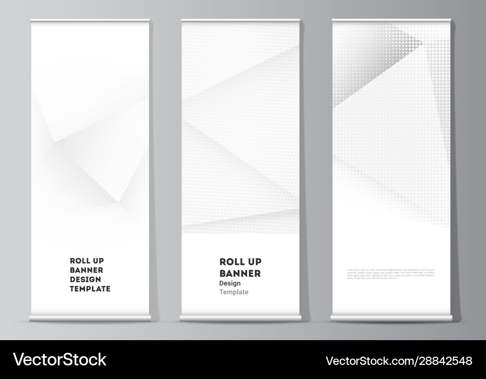 Layout roll up mockup design templates vector image