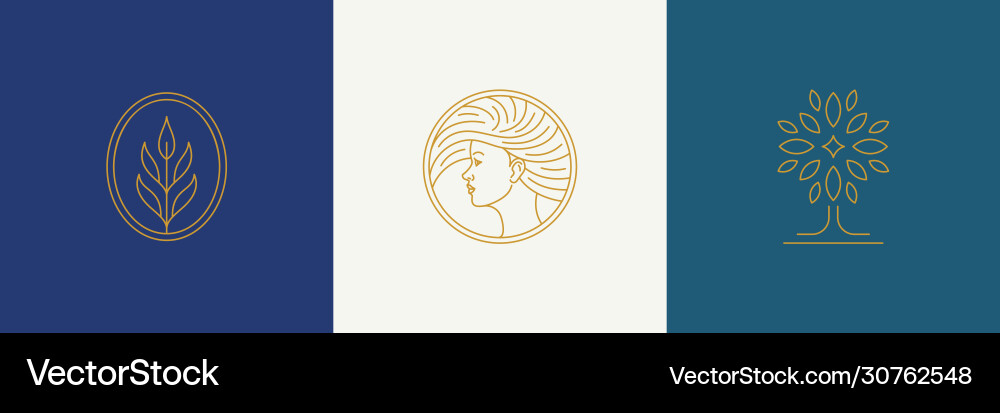 Line minimal decoration design elements set Line minimal decoration design elements set vector image