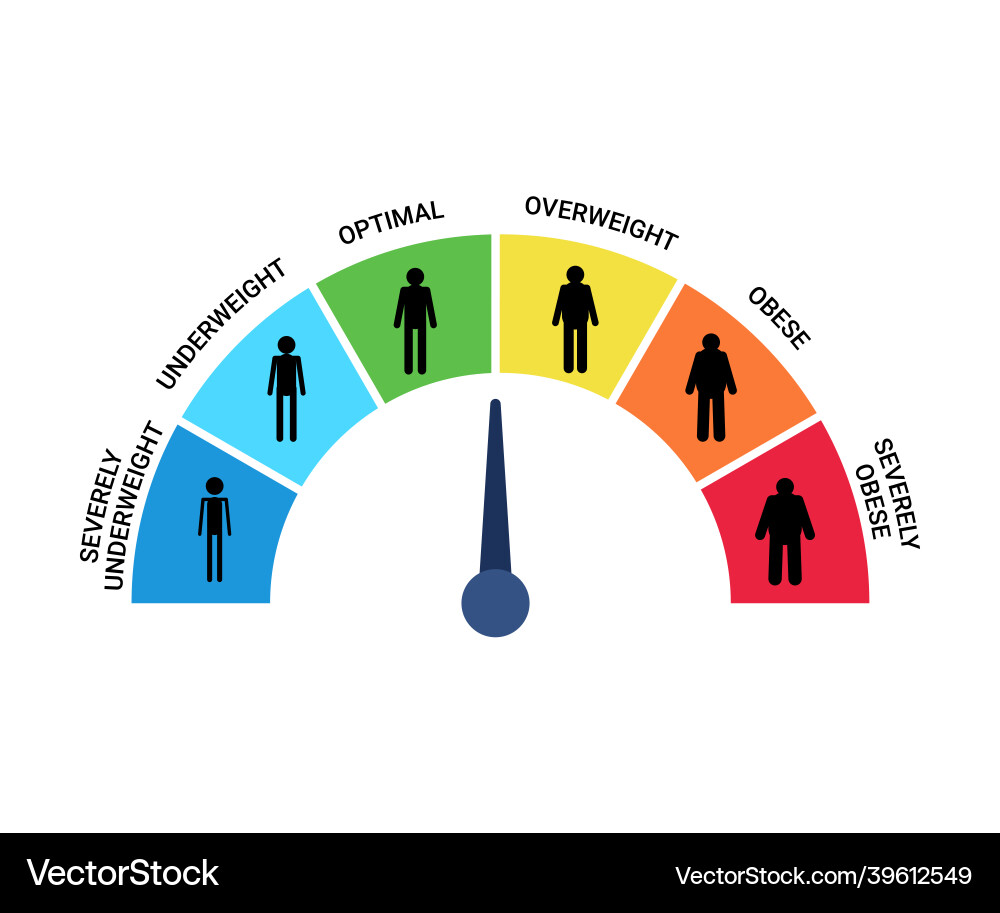 Bmi categories chart body mass index and scale vector image