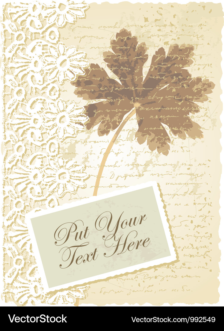 Romantic Geranium Card Vector Image