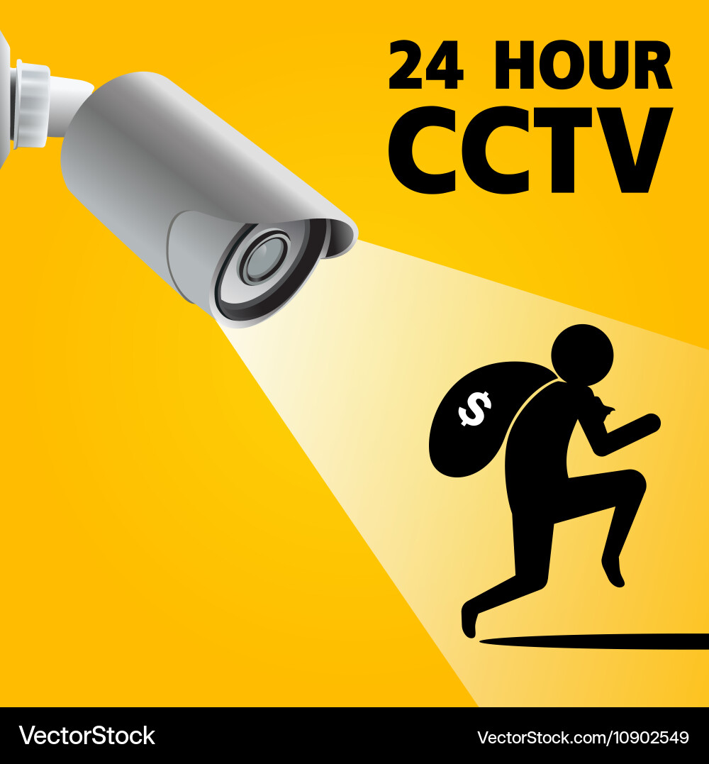 Security Camera Capturing Robbery vector image