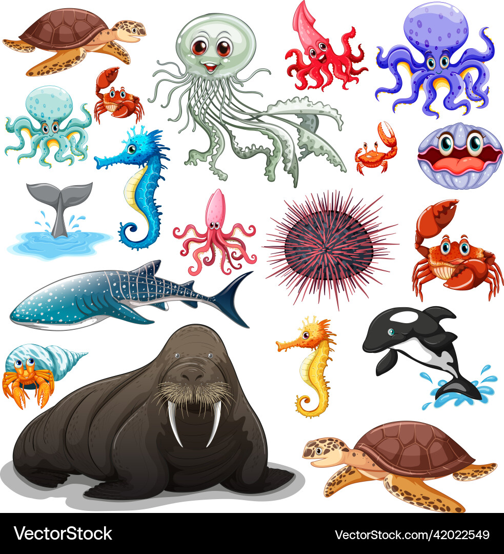 Variety of Sea Animals Vector Image
