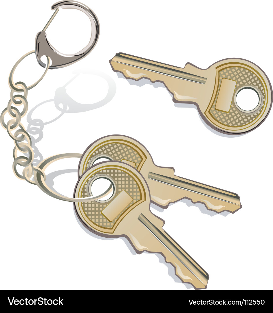 Collection of Keys Vector Image