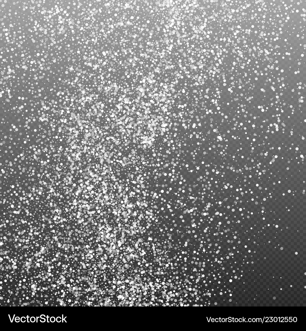 White Particle Snowfall Effect vector image