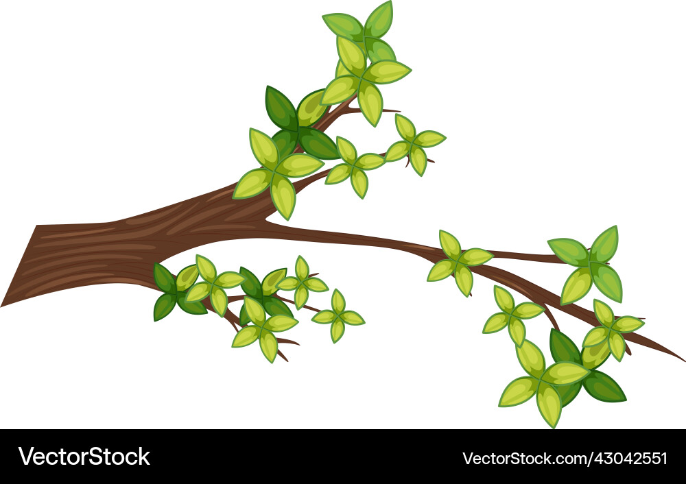 Tree branch isolated on white background vector image